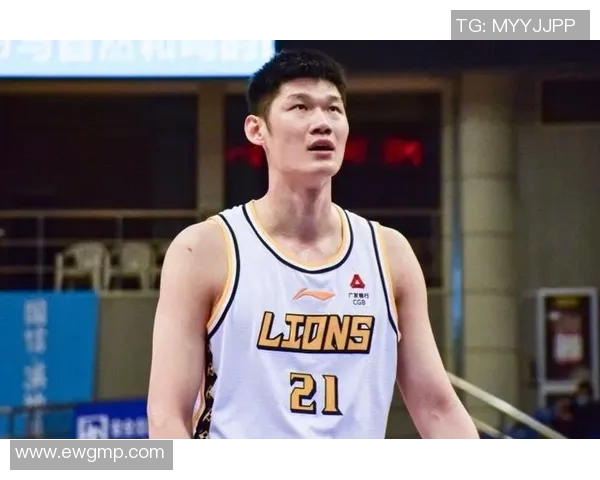 胡金秋篮板数据统计分析及其对球队表现的影响探讨