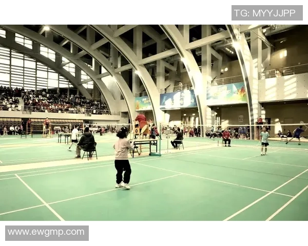 乒乓球与羽毛球爱好者观赛全攻略助你轻松享受精彩赛事体验