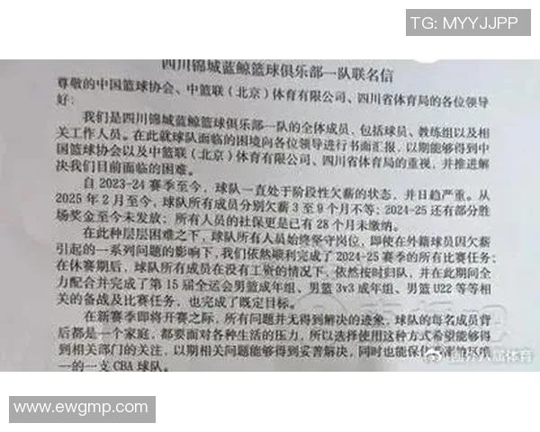 四川金强队全华班阵容引发球迷关注